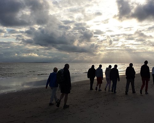 eiland safari tour vlieland