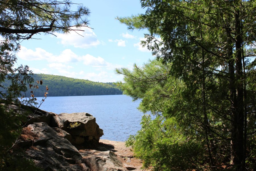 Rock Lake Campground Reviews And Photos Algonquin Provincial Park