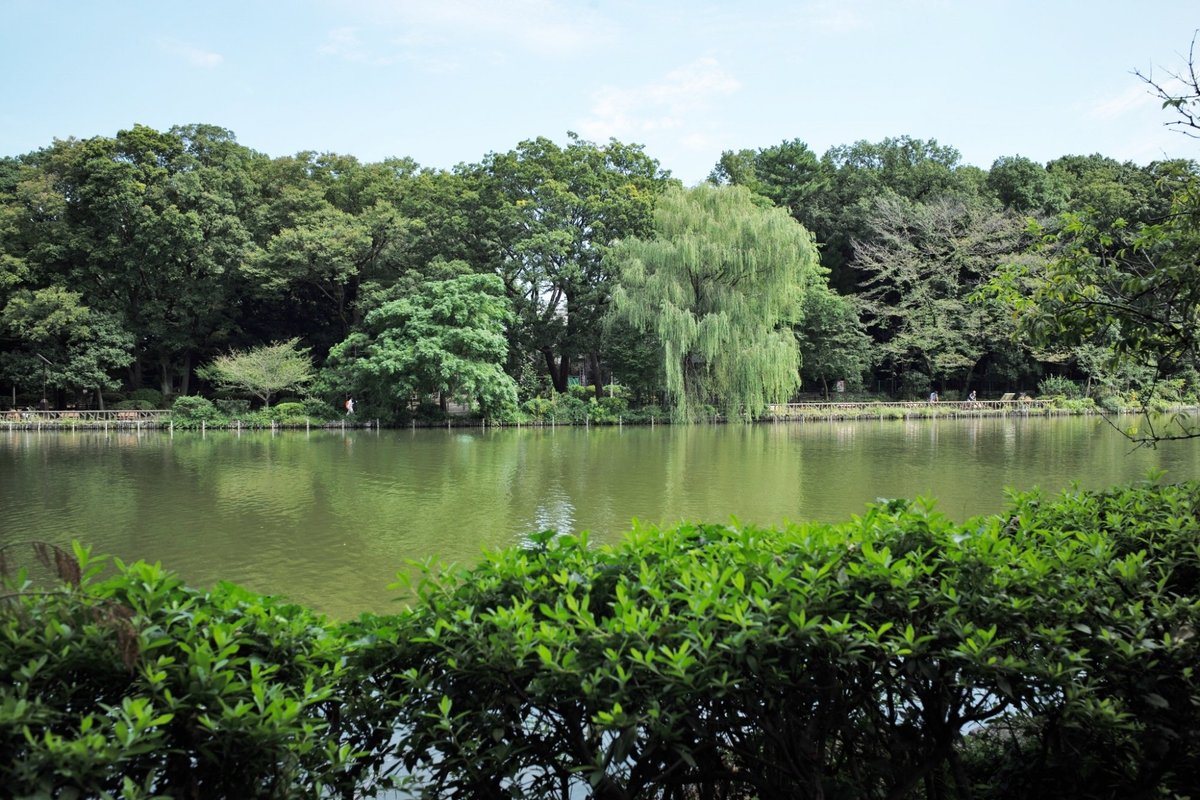 22年 善福寺公園 行く前に 見どころをチェック トリップアドバイザー