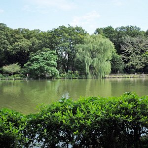 Sanshinomori Park All You Need to Know BEFORE You Go 2024 