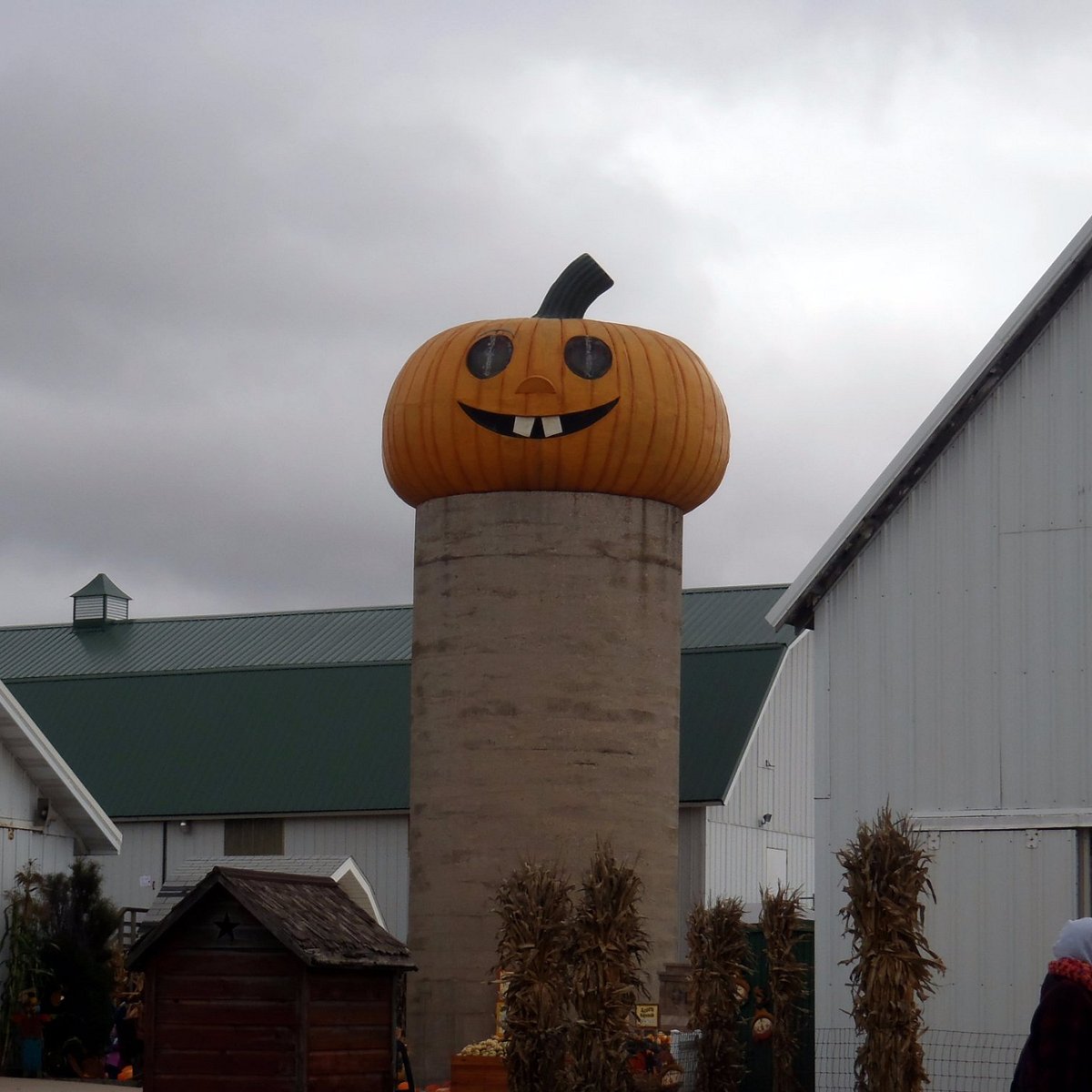 Goebbert's Pumpkin Patch (Hampshire) - All You Need to Know BEFORE You Go 