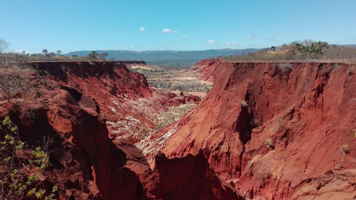 TSINGY ROUGE PARK (2024) All You Need to Know BEFORE You Go (with Photos)