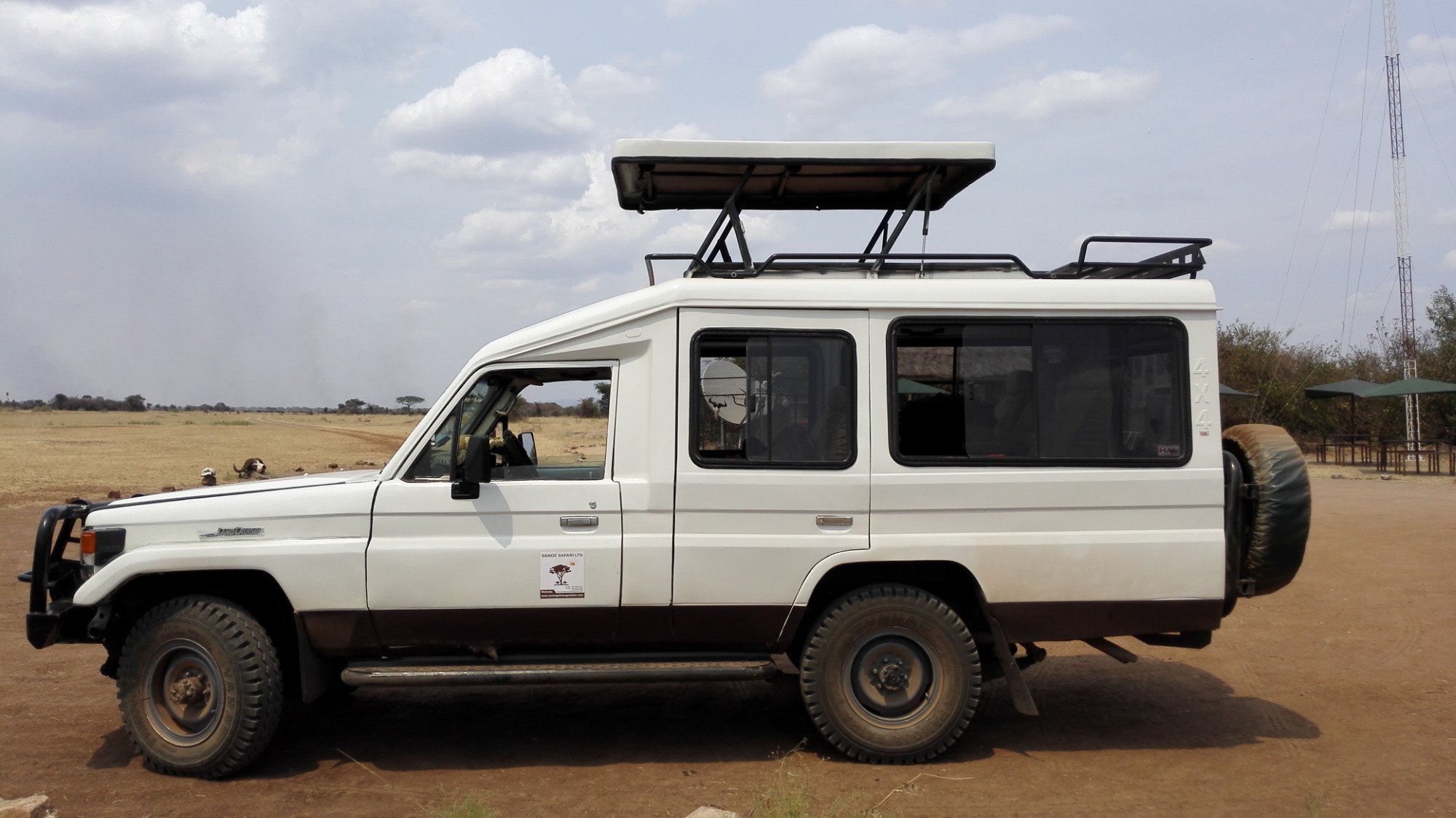 Serengeti Sange Safari - Day Tour - All You Need to Know BEFORE You Go ...