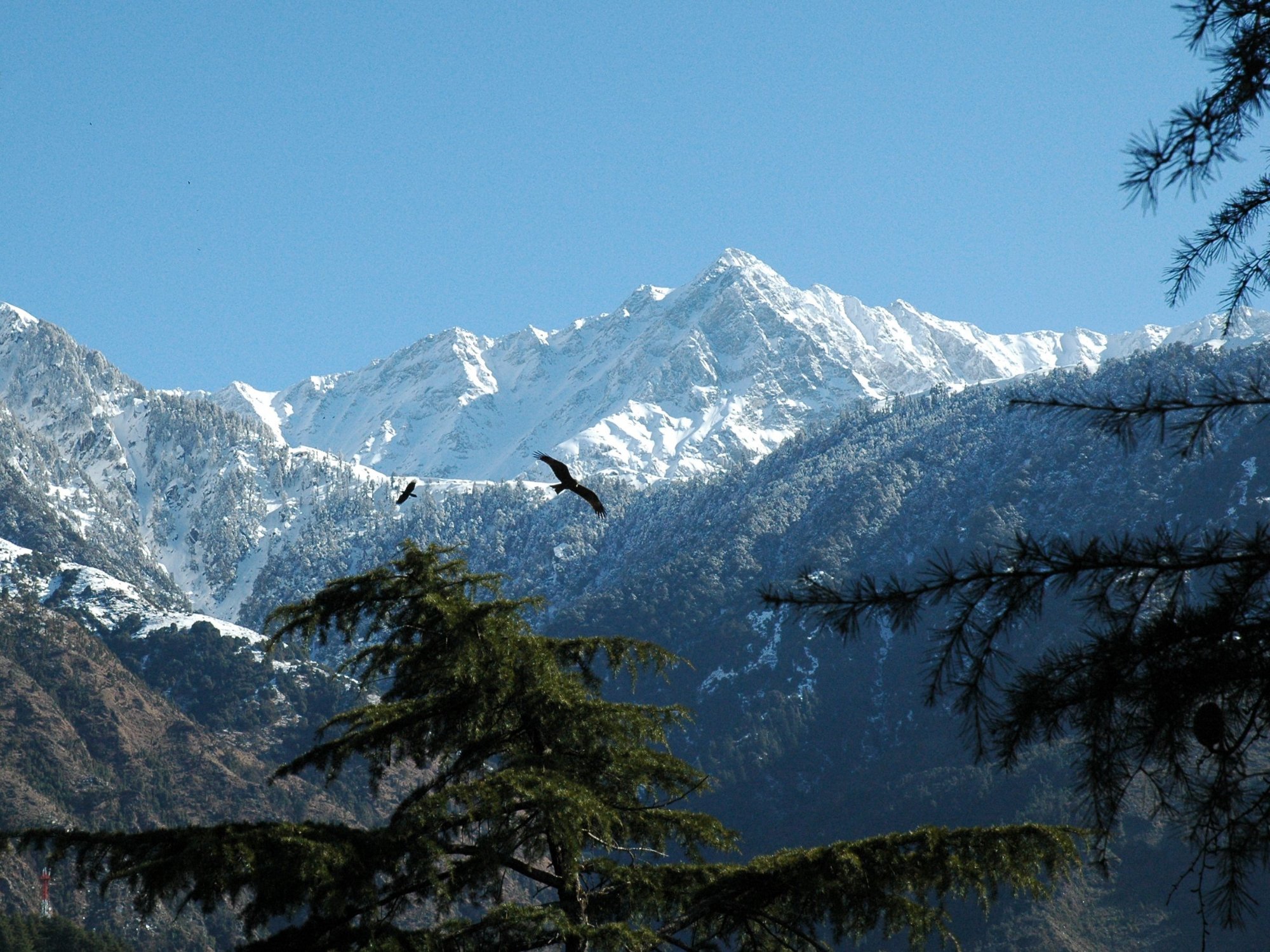 Kangra District 旅行・観光ガイド 2022年 - トリップアドバイザー