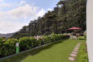 Honeymoon Inn Shimla in Shimla, image may contain: Garden, Park, Grass, Villa