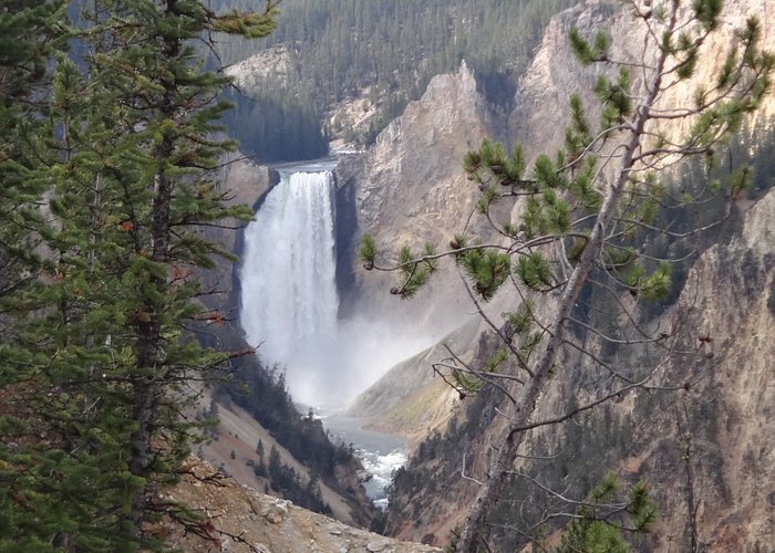 Turism i West Yellowstone 2021  West Yellowstone fakta  Tripadvisor