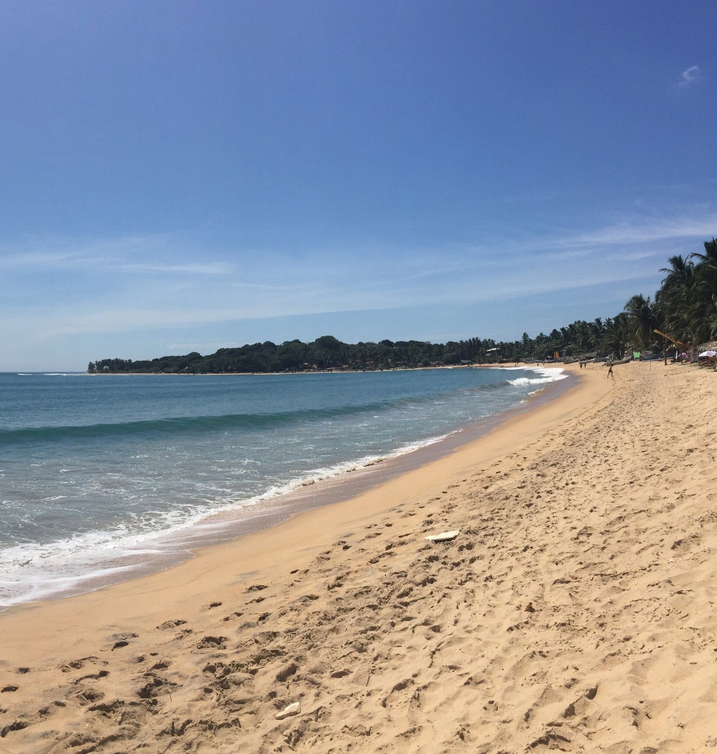 The Surf Access Beach Resort 해변 사진 및 리뷰 The Surf Access Beach Resort 해변 사진 및 리뷰 - 트립어드바이저