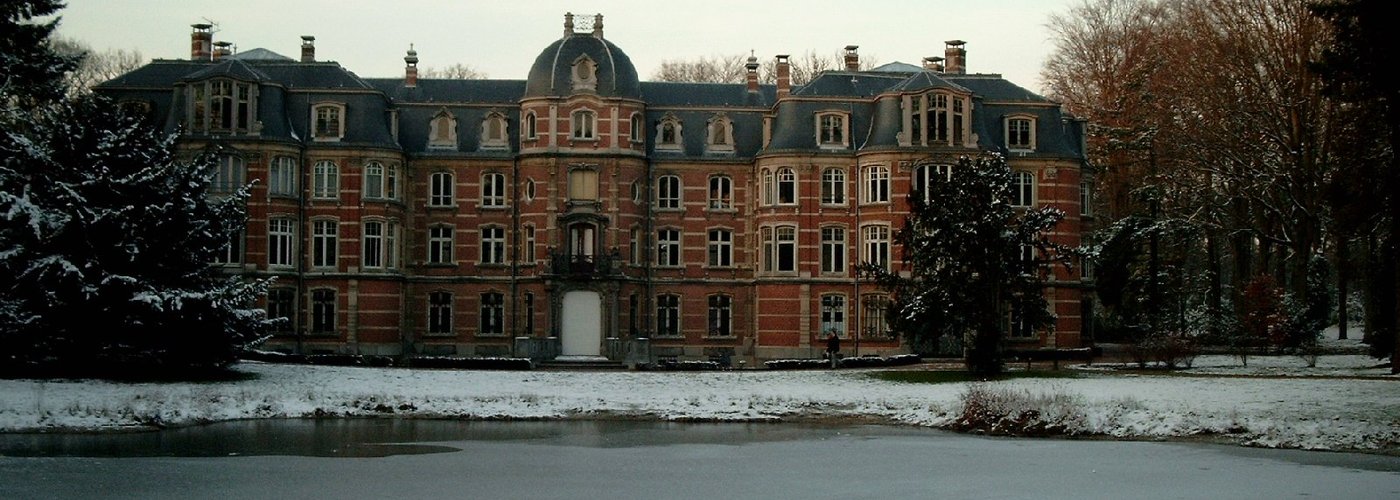 Kasteel en dichtgevroren vijver