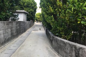 旅行者の写真