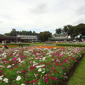 21年日本川口市的旅游景点 旅游指南 行程 Tripadvisor 21年日本川口市的旅游景点 旅游指南 行程 Tripadvisor