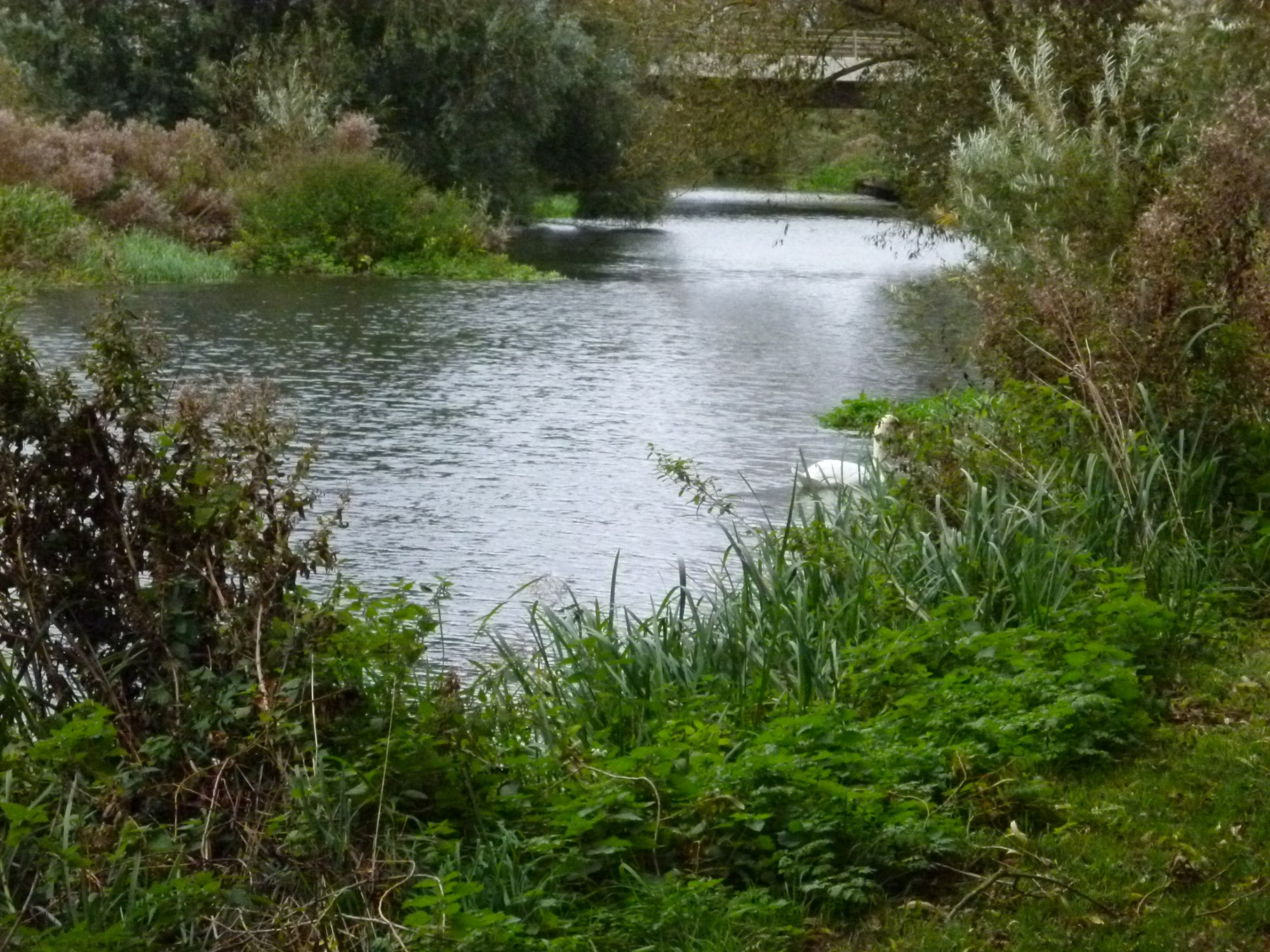 Ouse Valley Park (Wolverton) - 2022 Alles Wat U Moet Weten VOORDAT Je ...