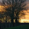 Estel_Ch87