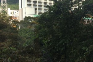 部屋からの眺め