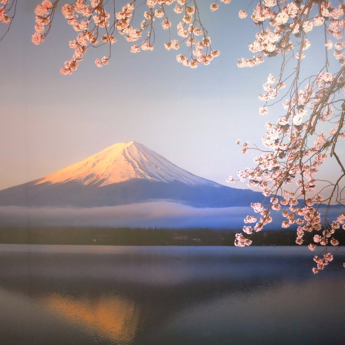 Fujisan World Heritage Center(Mt.Fuji World Heritage Center),  Фуджикавагучико-мати: лучшие советы перед посещением - Tripadvisor