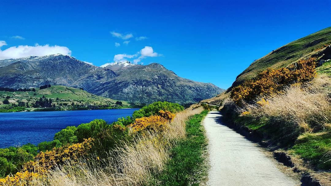 Lake Hayes Walkway - All You Need to Know BEFORE You Go (2024)