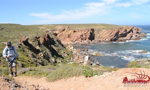 Here is a hiker taking it one step at a time on the Five Day Trail. Look at that backdrop!