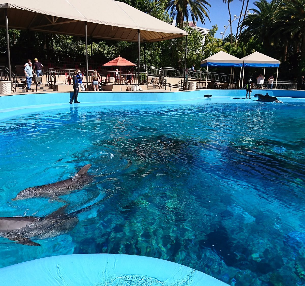 Secret Garden & Dolphin Habitat - All You Need to Know BEFORE You Go (with  Photos)