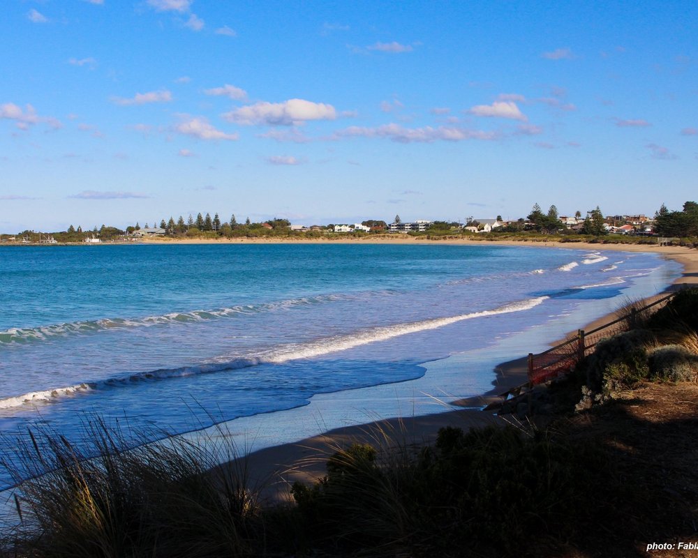 THE 15 BEST Things to Do in Apollo Bay (2025) MustSee Attractions