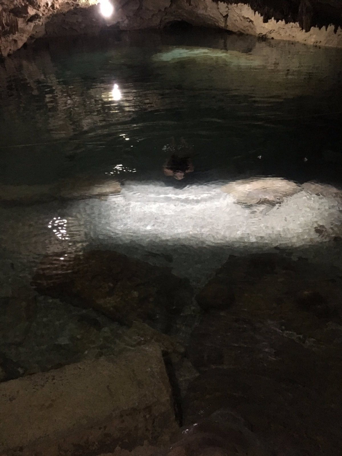 Cenote San Antonio (Homun): All You Need to Know BEFORE You Go