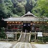 Things To Do in Jofuku-ji Temple, Restaurants in Jofuku-ji Temple