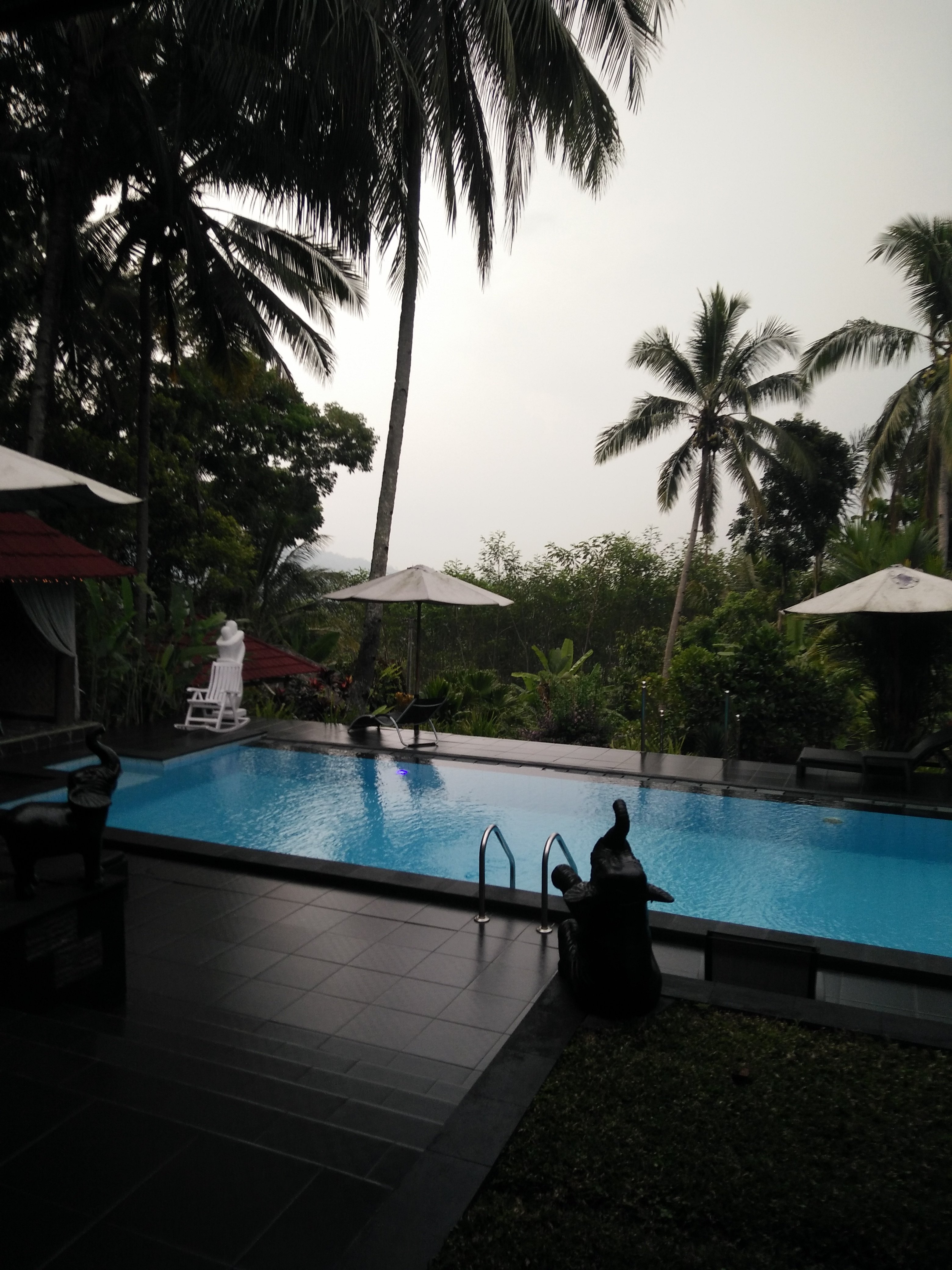 Hotel photo 8 of Guesthouse Oase van Java.
