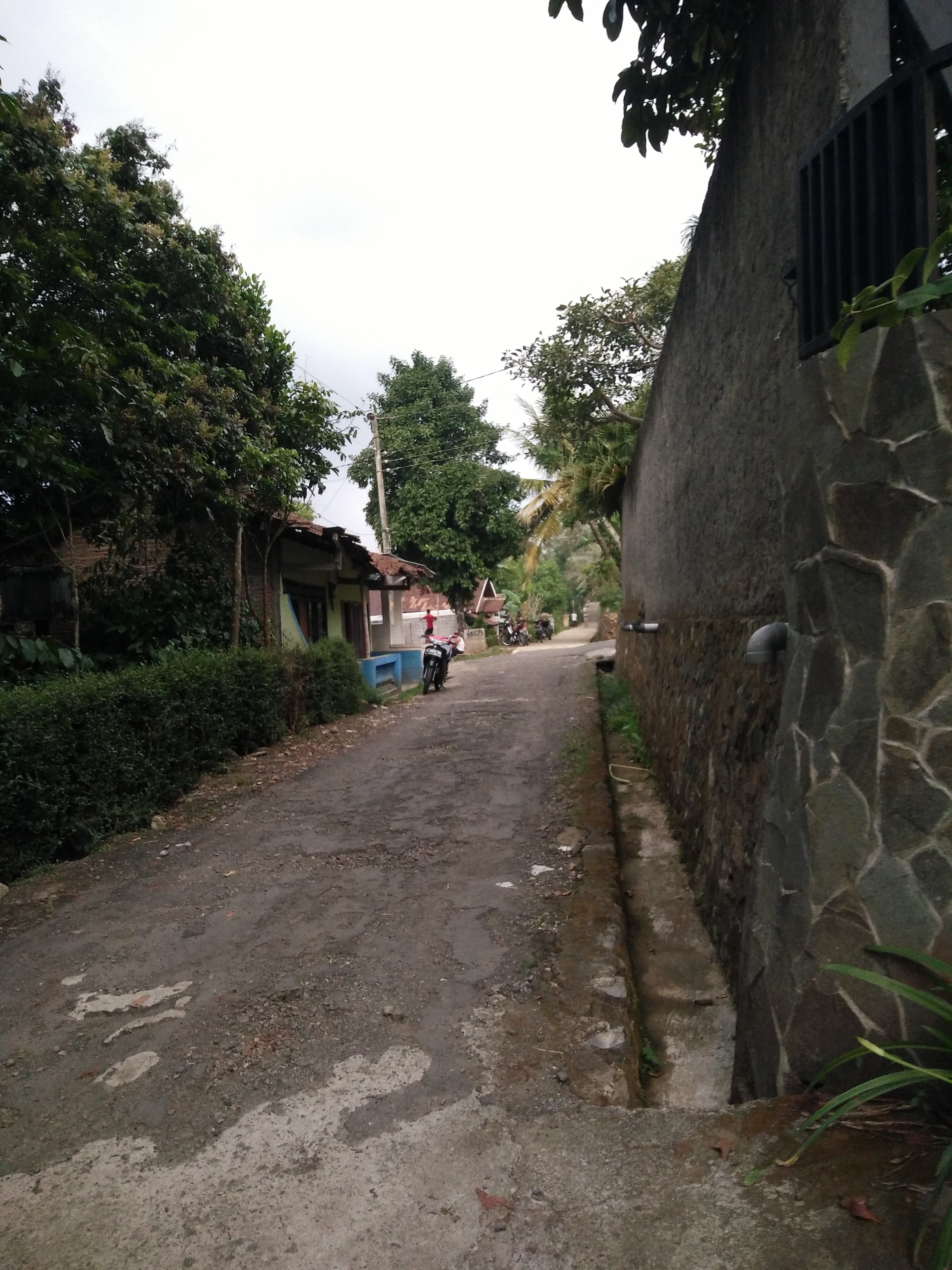 Hotel photo 10 of Guesthouse Oase van Java.