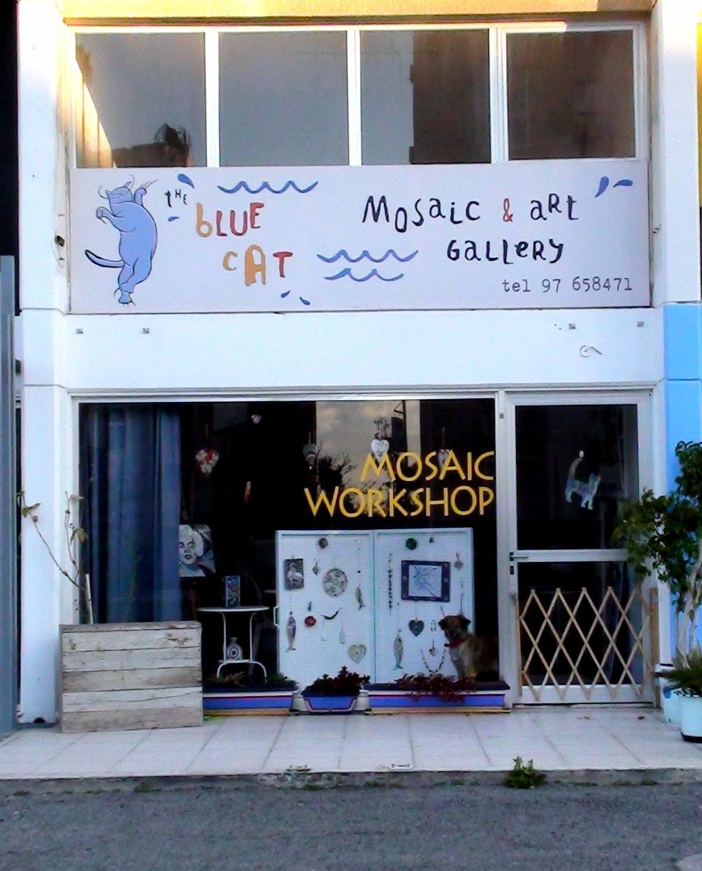 The Blue Cat Gallery, Agios Tychon: лучшие советы перед посещением -  Tripadvisor