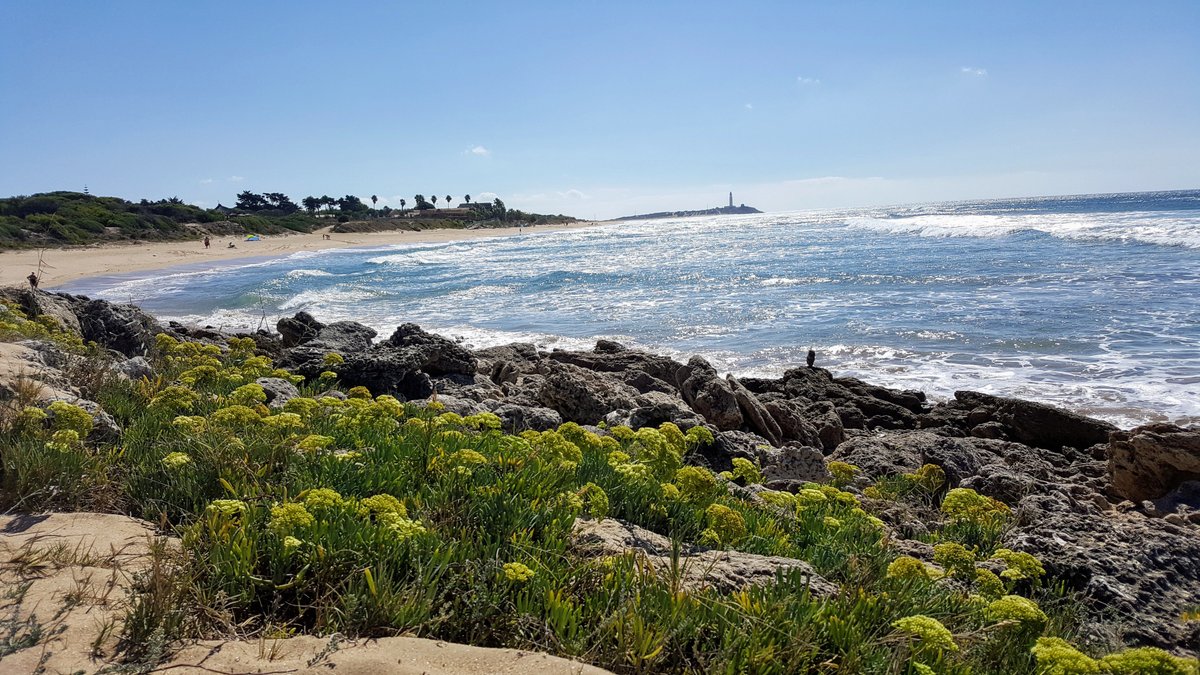 Picture of Playa de Zahora