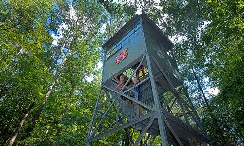 Clemmons State Forest