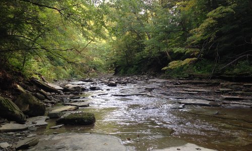 Make sure to check out the Chautauqua Gorge!