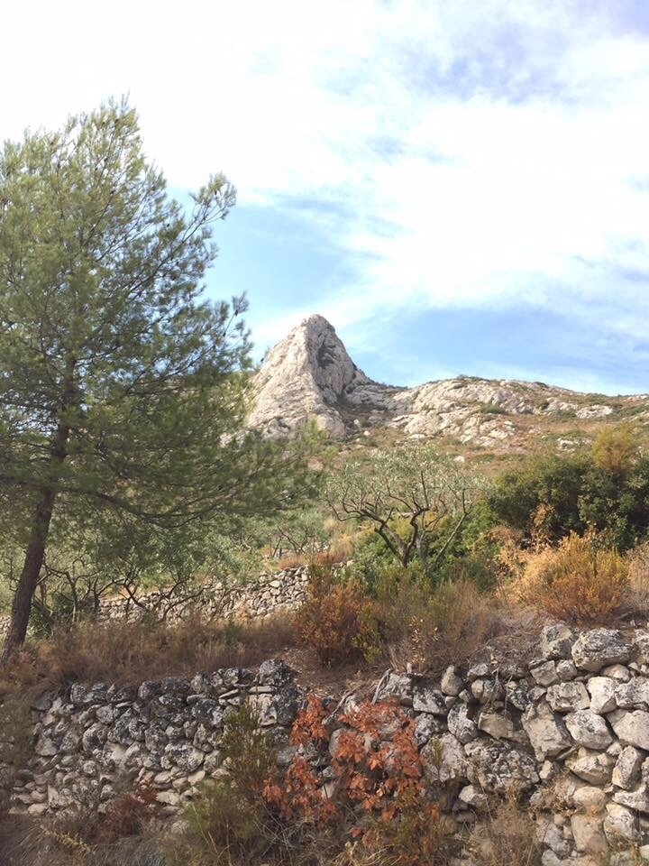 PARC DES BRUYÈRES MARSELLA FRANCIA