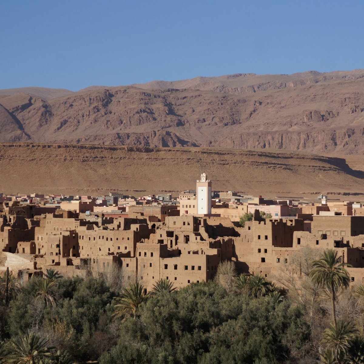 morocco escorted tours reviews