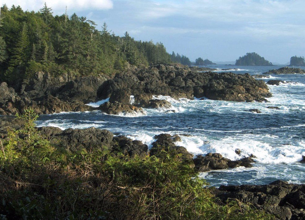 Pacific Rim National Park (Tofino) - 2023 Alles Wat U Moet Weten ...