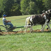 Agricultural History Farm Park (Derwood) - All You Need to Know BEFORE ...