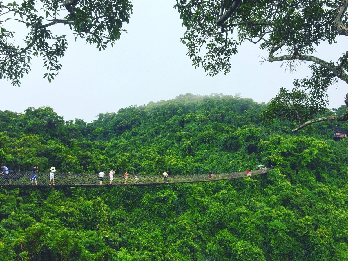 Yalong Bay Tropical Paradise Forest Park, Санья: лучшие советы перед  посещением - Tripadvisor