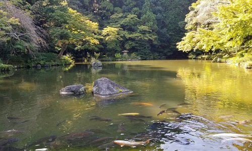 Narita, Japan 2022: Best Places to Visit - Tripadvisor