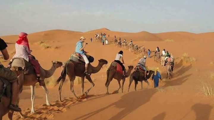 Desert Camel Tours - All You Need to Know BEFORE You Go (2024)