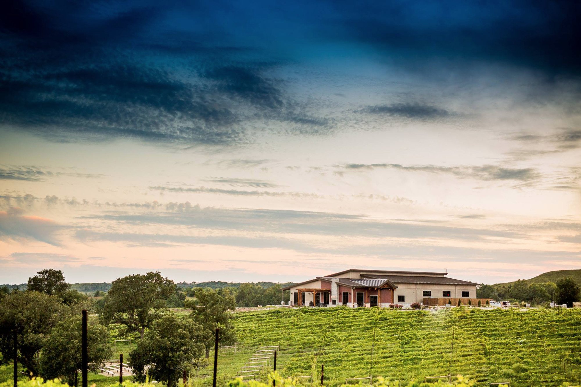 Liquid Art Winery And Estate Manhattan All You Need To Know BEFORE   Winey Tasting Room Event 