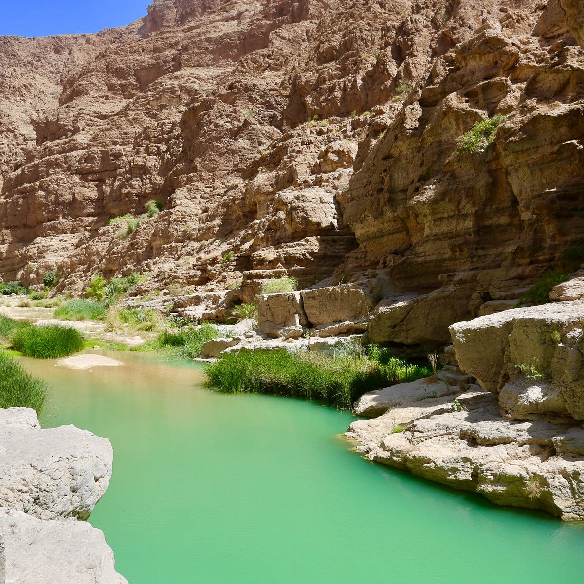 استكشاف وادي شاب