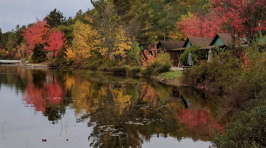 Row of cottages at Spectacle Lake Lodge. Photo by Eldon Chan.
