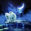 WhiteWolfGoddess