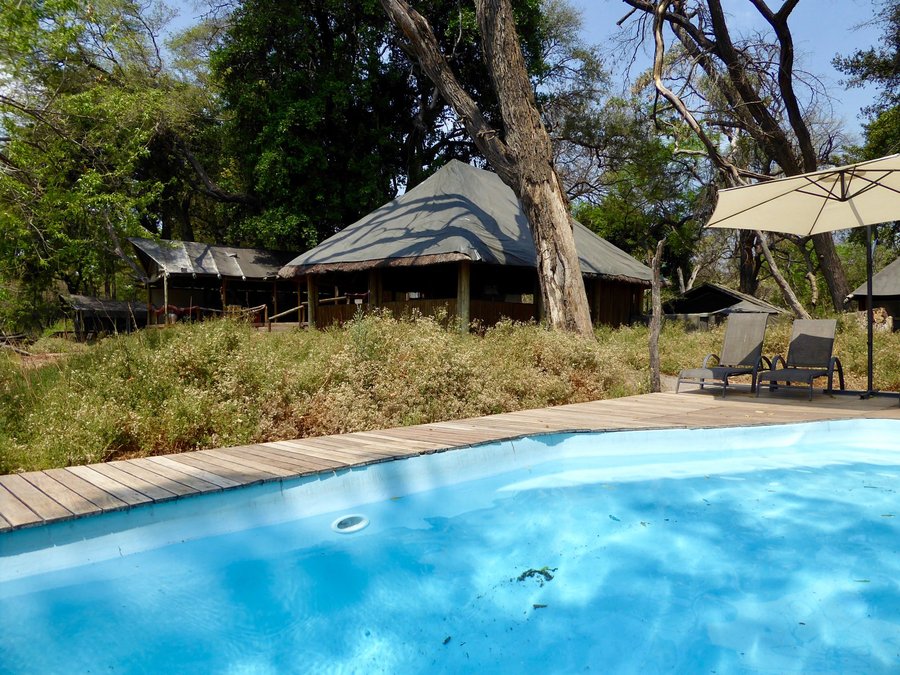 KWARA CAMP - KWANDO SAFARIS - Lodge Reviews (Kwando Concession NG20 ...