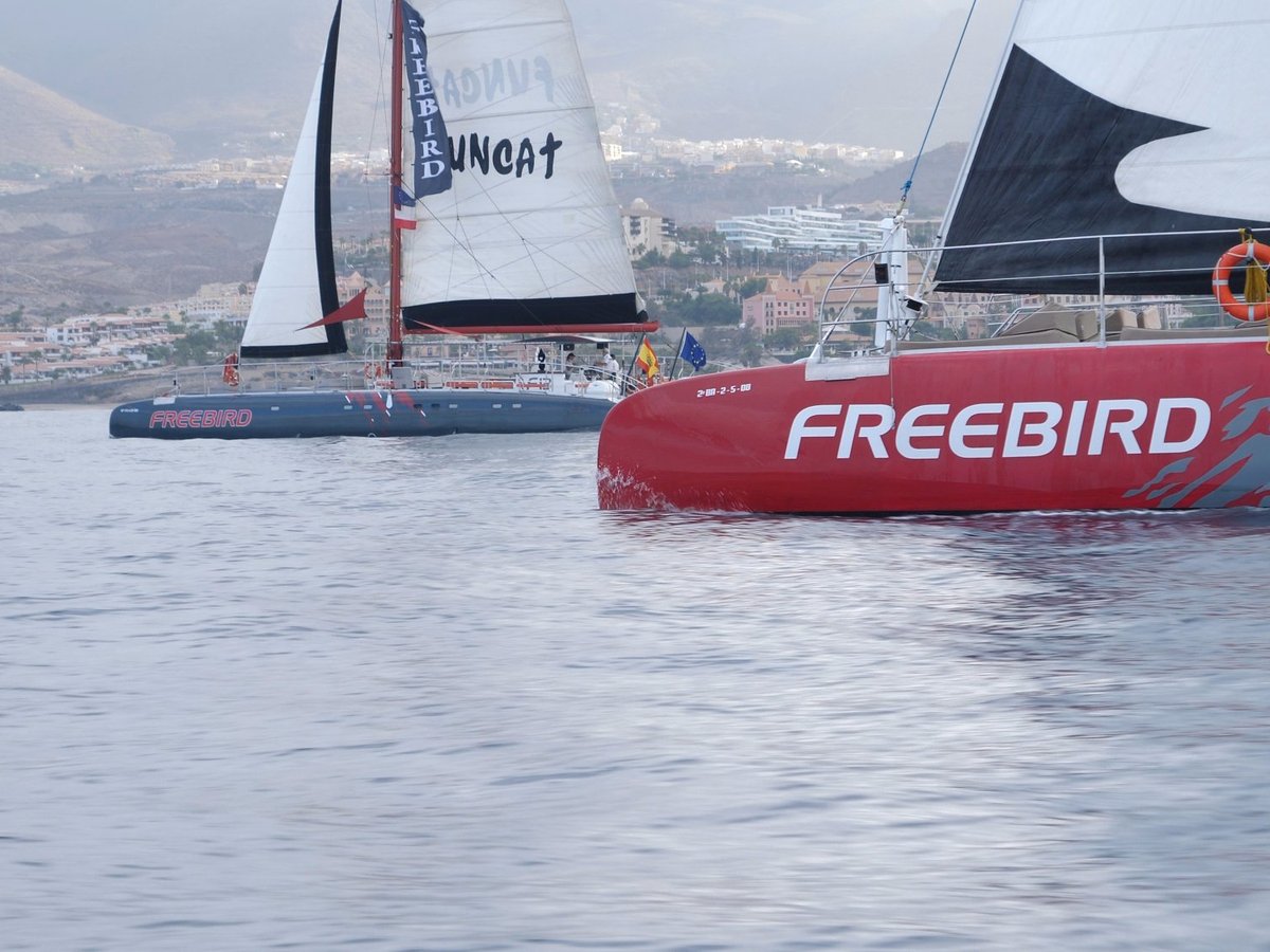 Freebird Catamaran Playa De Las Americas 2023 Alles Wat U Moet