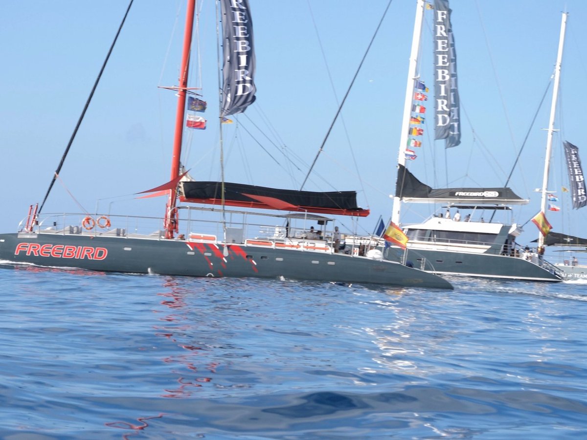 FREEBIRD CATAMARAN (Costa Adeje) - All You Need to Know BEFORE You Go