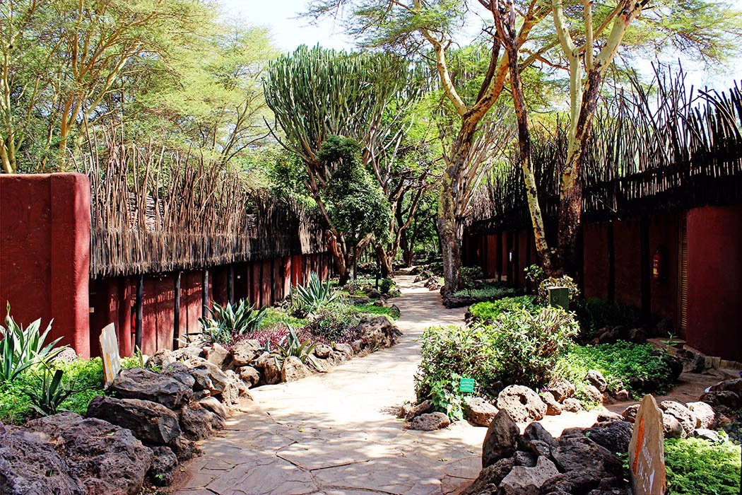 Amboseli Serena Safari Lodge by null