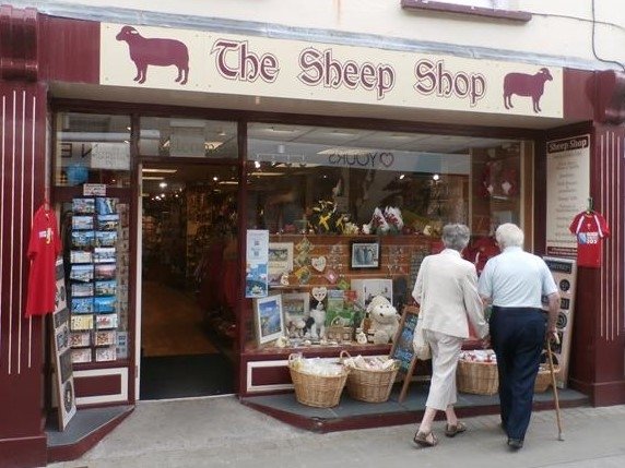 The Sheep Shop All You Need to Know BEFORE You Go 2024