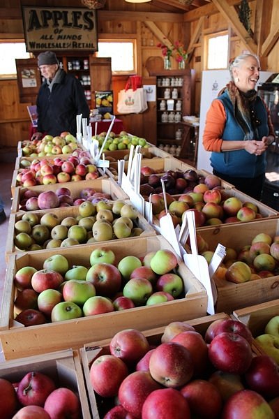 Scott Farm Orchard image