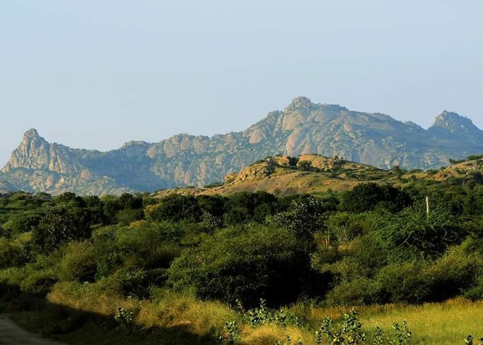 The Hill landscape of Bera