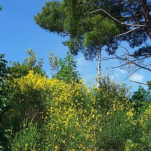 Angolo bar - Picture of Rustiko Barcola beach, Trieste - Tripadvisor