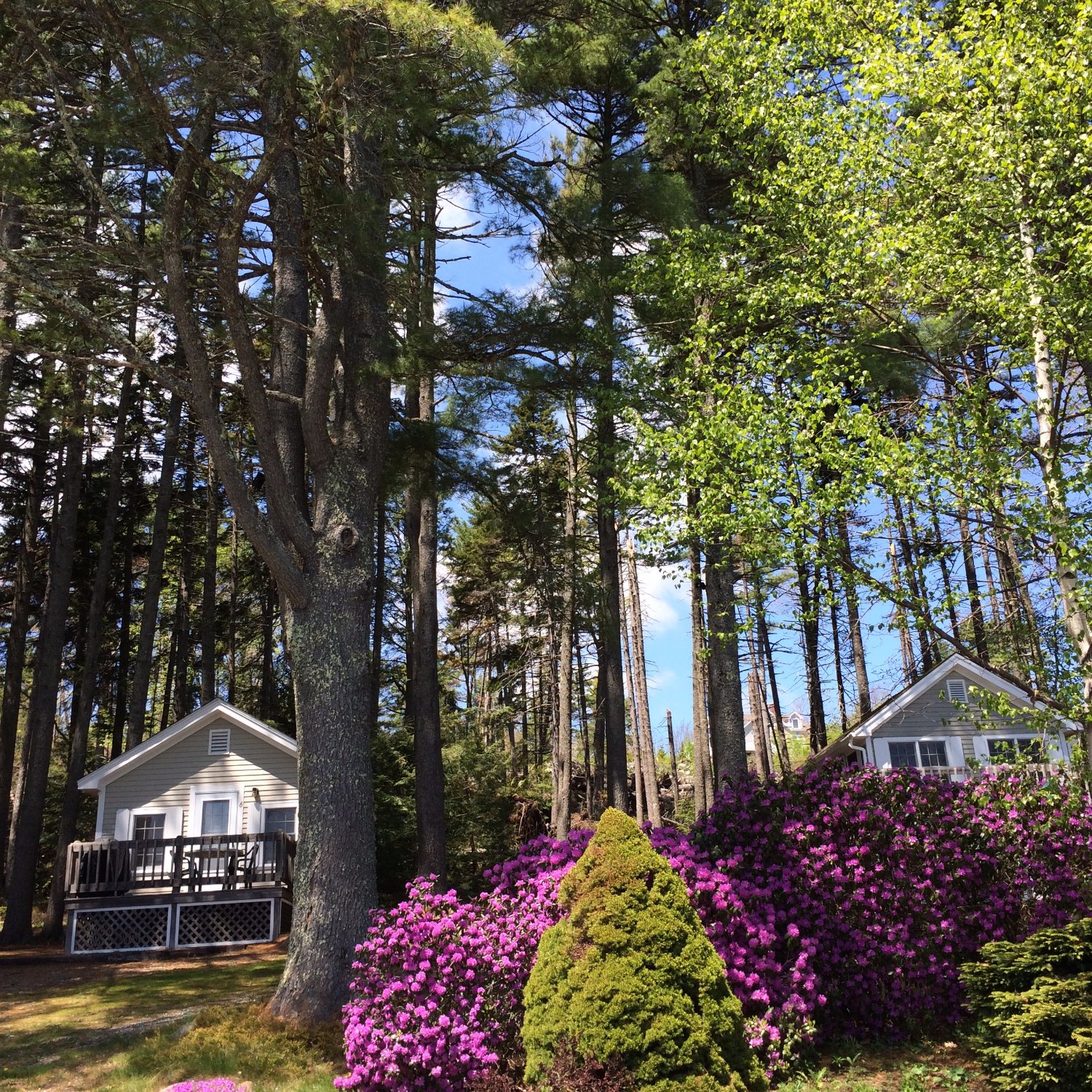 Pine Grove Cottages (Lincolnville, Maine) - Tarifs 2024